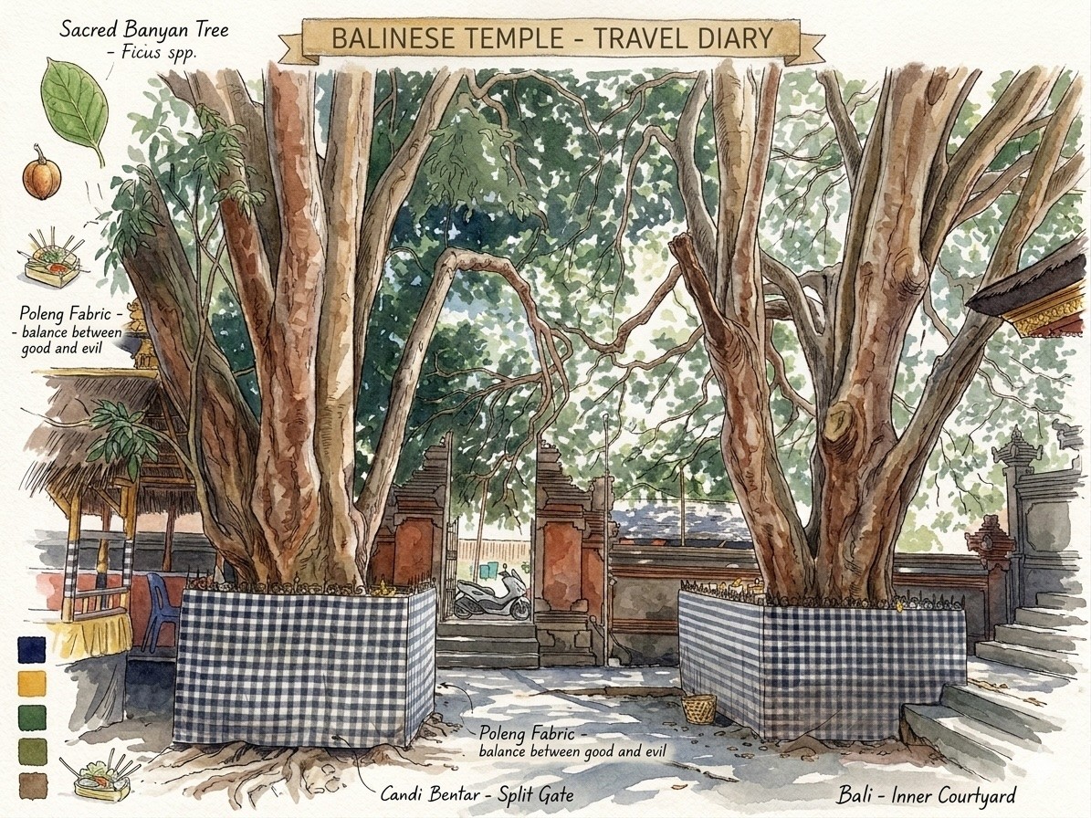 balinese waringin travel watercolor.