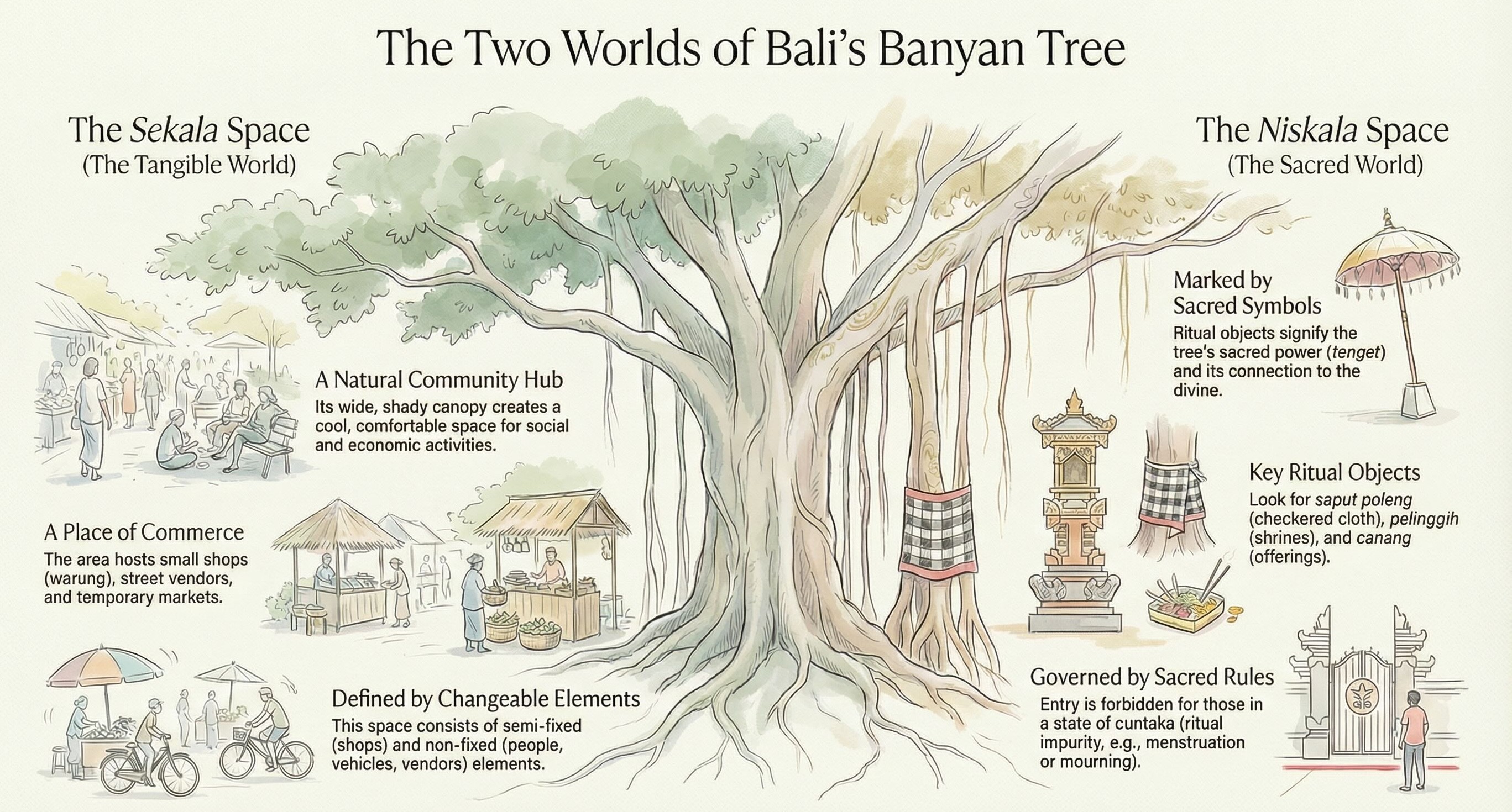 Infographic illustrating the "Two Worlds of Bali's Banyan Tree," explaining the difference between the tangible "Sekala Space" and the sacred "Niskala Space."