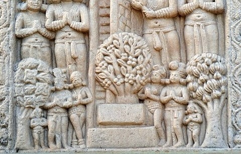 A detailed close-up photograph of an ancient stone bas-relief carving from the Sanchi Stupa complex in India. The panel, carved in a classical Indian style, depicts a narrative scene. In the center, two prominent female figures stand in elegant poses, likely deities or yakshis. They are surrounded by tiered groups of smaller standing figures, both male and female, in postures of worship or attendance. A carved tree is visible on the lower right. The stone shows signs of age and weathering, with fine details of clothing and ornamentation preserved.