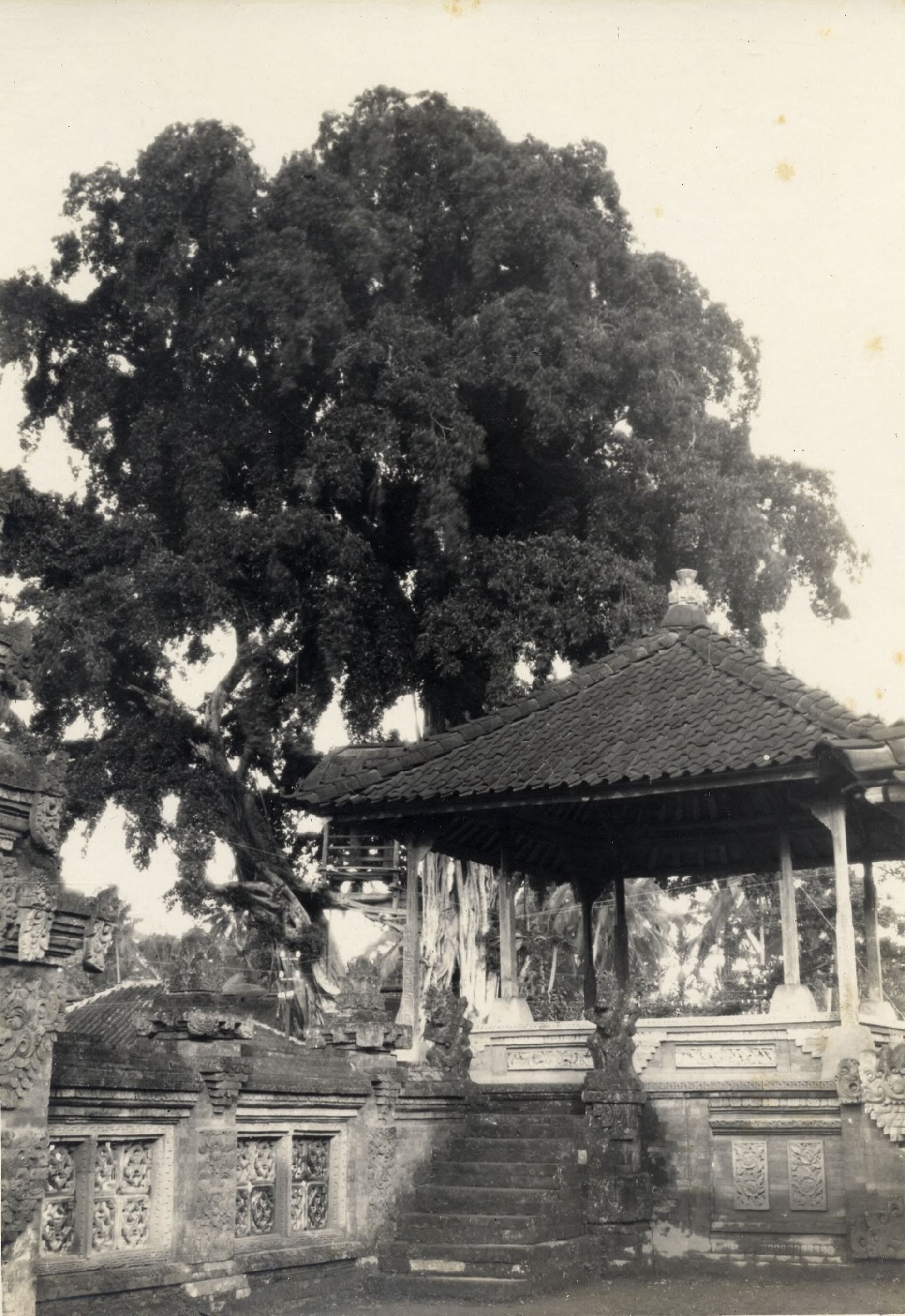 A historical black-and-white photograph from circa 1920 showing a massive, sacred Waringin (Banyan) tree in Gianyar, Bali. The image captures the tree's monumental scale with its dense, curtain-like aerial roots reaching the ground. Small human figures and traditional structures are visible at the base, emphasizing the tree's spiritual and communal importance. Part of the KITLV collection, Leiden University Libraries.