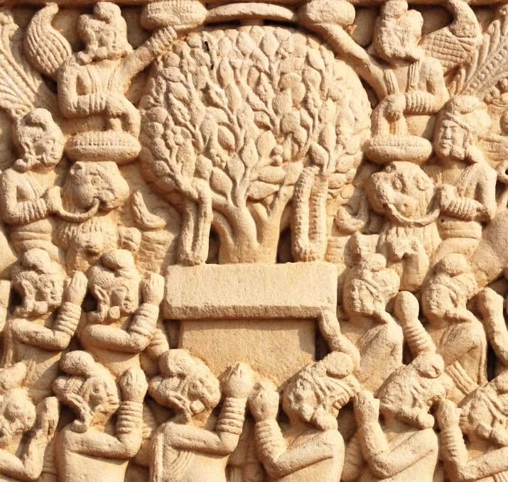 A close-up photograph of a detailed and complex ancient stone bas-relief carving from the Sanchi Stupa in India. The panel depicts a scene of worship centered around a finely carved tree, possibly a Bodhi or other sacred fig. Below and around the tree, a tiered and dense multitude of standing and seated human-like figures is carved, their hands pressed together in prayer (anjali mudra). The composition is intricate, showing many layers of carved figures, with detailed depictions of classical Indian clothing and headwear. The stone is aged and weathered.